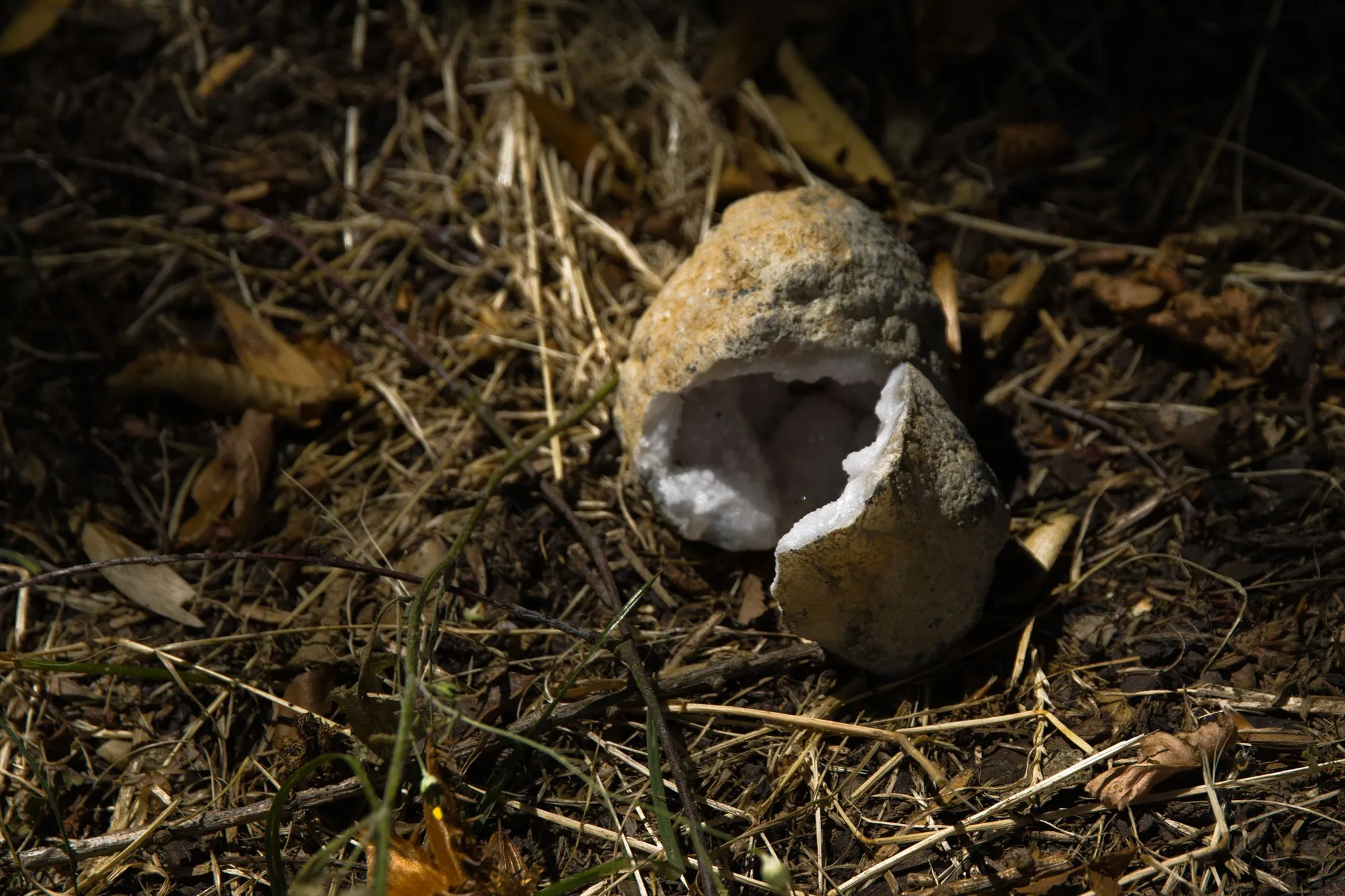 Die im Garten gefundene Quarz-Geode am Fundort